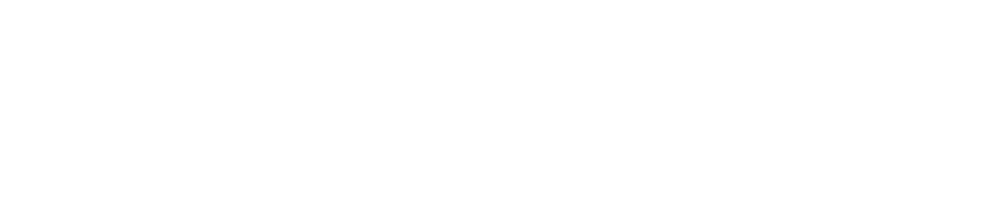 lucid and frank primary logo